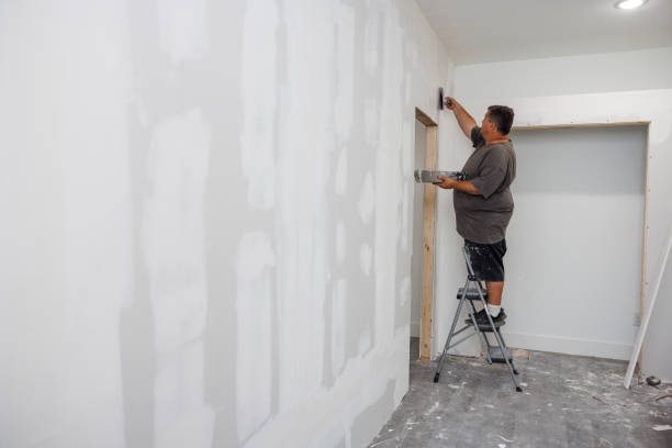Reliable Benavides, TX Mold Removal Solutions