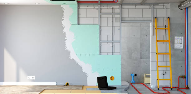 Best Mold Damage Restoration  in Benavides, TX