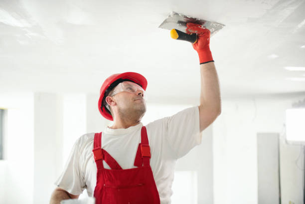 Best Mold Removal for HVAC Installations  in Benavides, TX